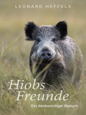cover image of Hiobs Freunde